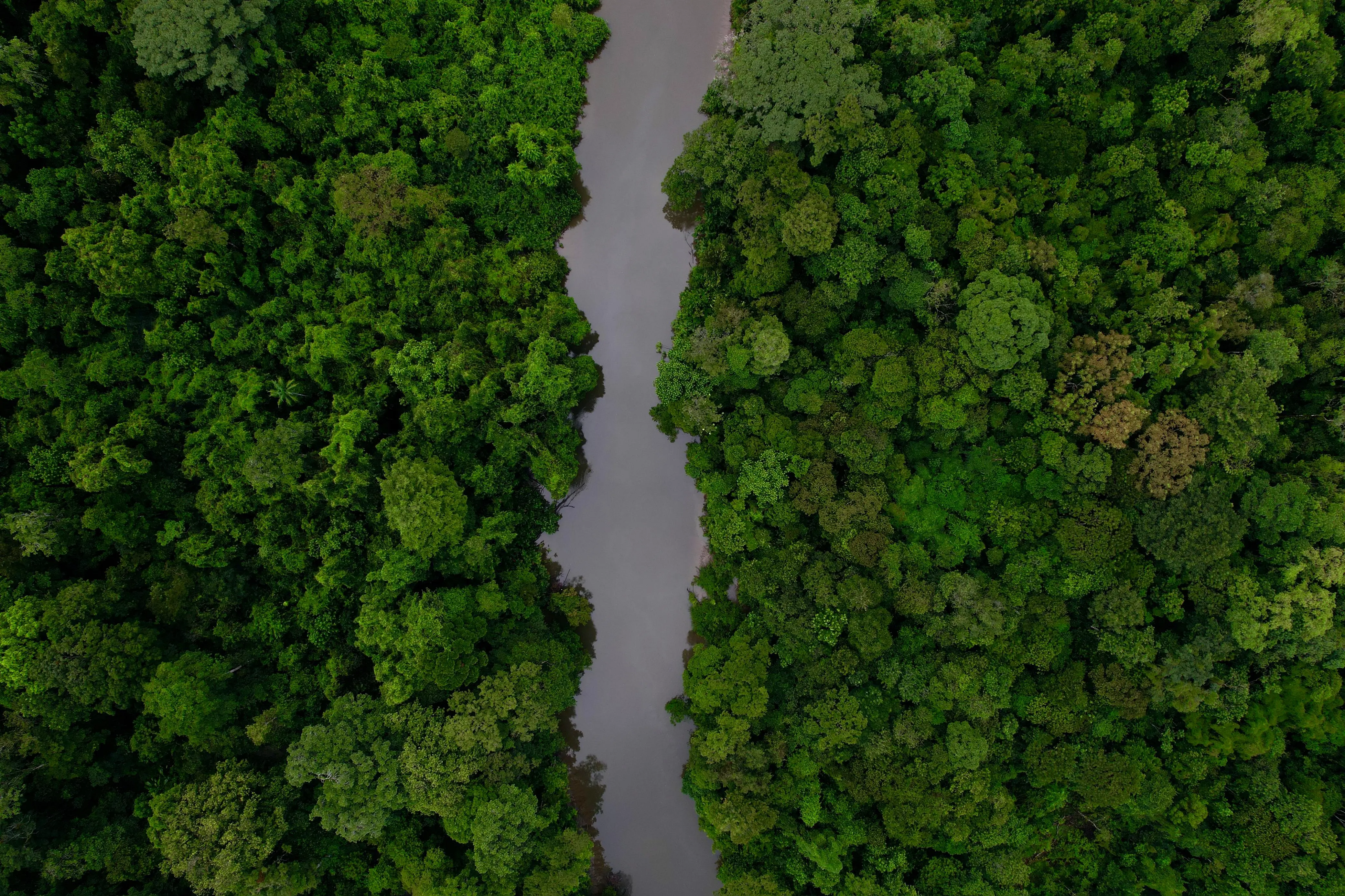 Río de selva tropical dentro del Parque Nacional Corcovado